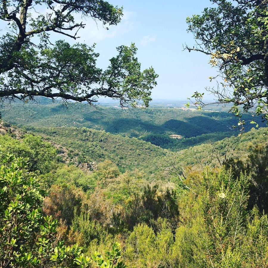 ホテル Mas Oms Montnegre エクステリア 写真