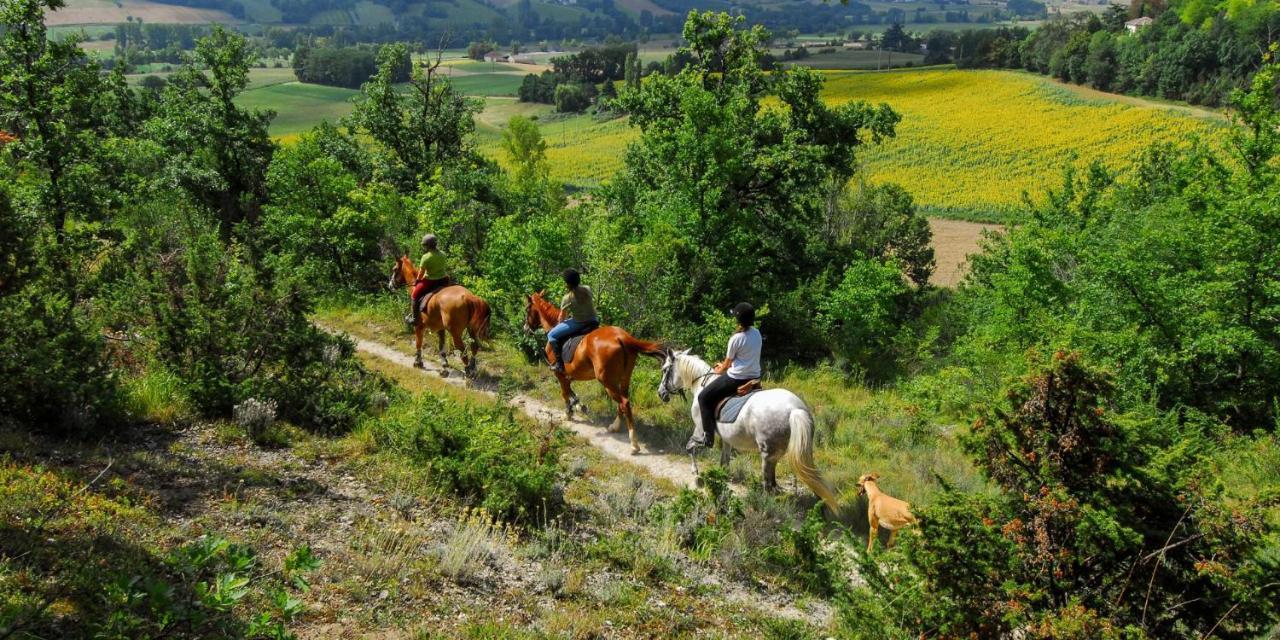 ホテル Mas Oms Montnegre エクステリア 写真